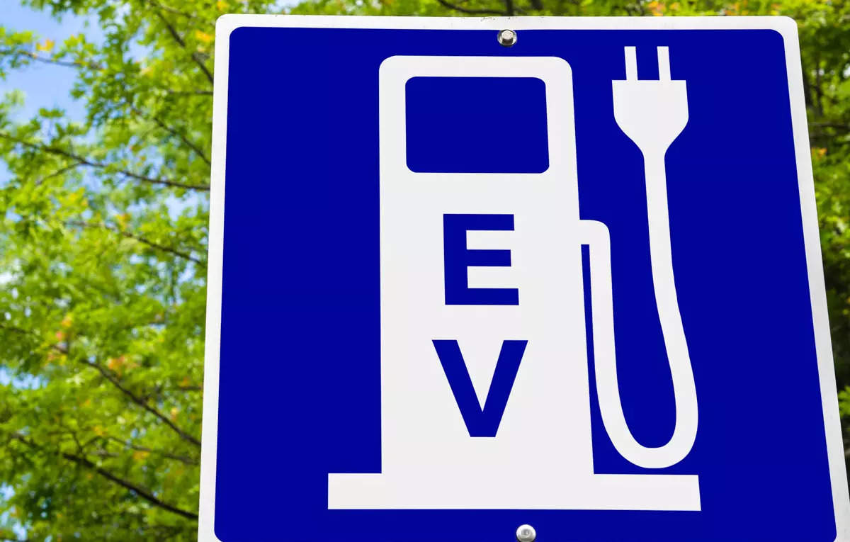 India aims to attract investors from Germany, UK and Korea under new EV policy: Official, ET EnergyWorld