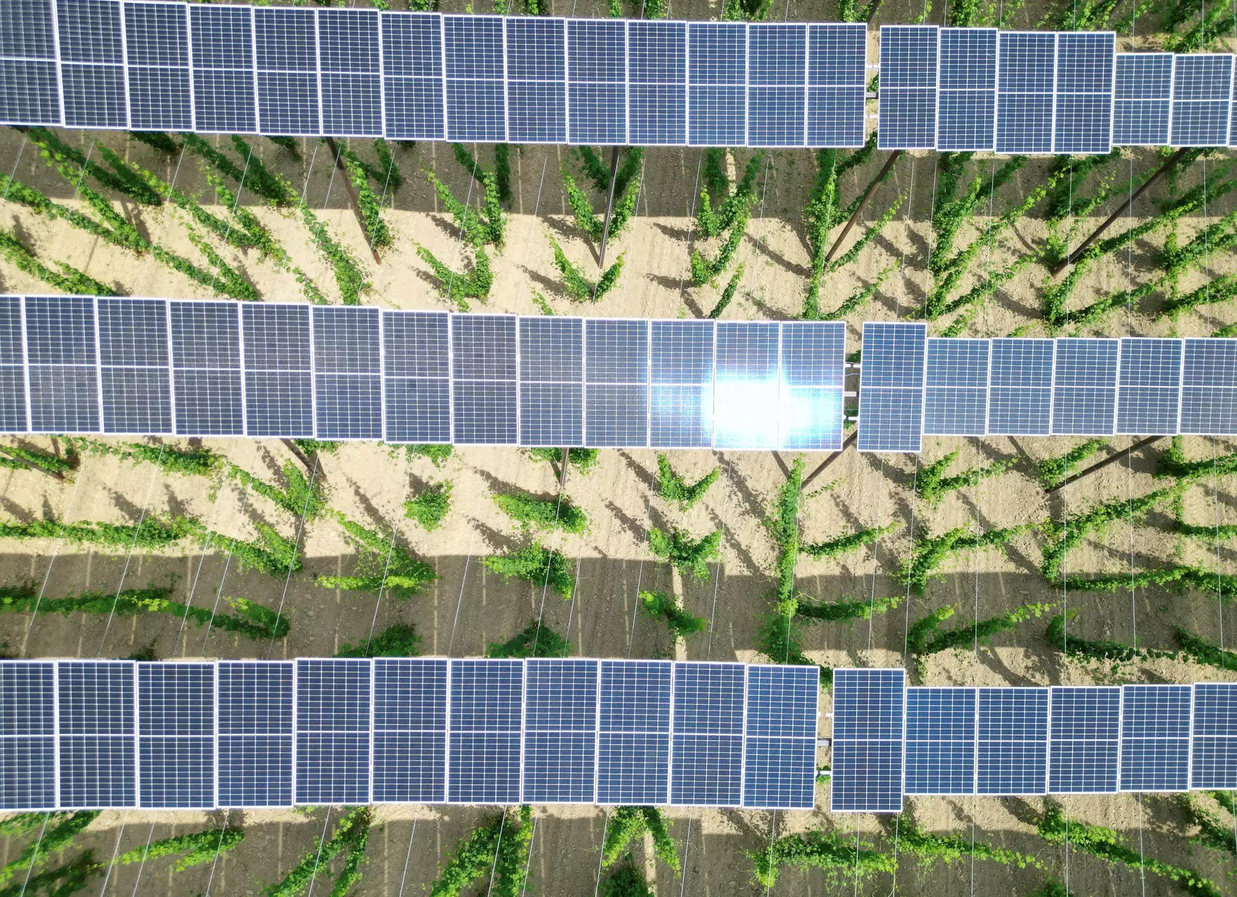 Solar micro grids to light up over 9,000 remote households in Tripura, ET EnergyWorld