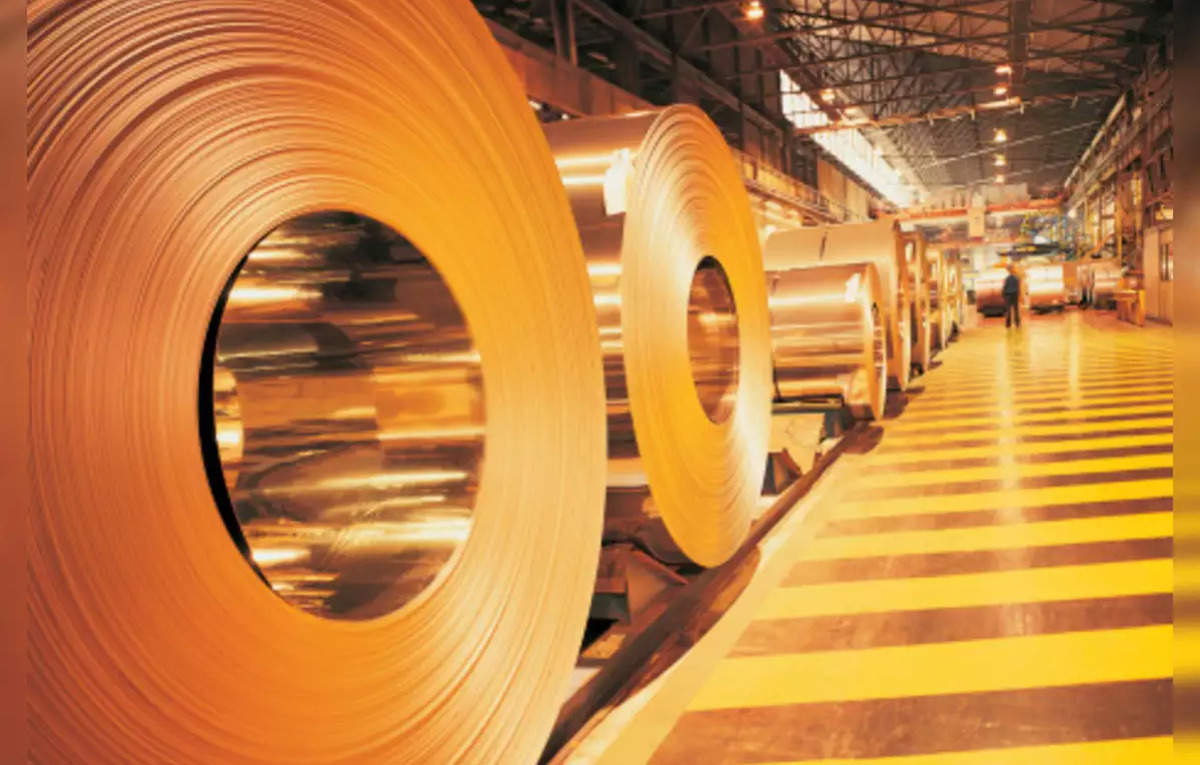 TDP MP urges Centre to review 100 pc equity divestment in Vizag Steel Plant, ET EnergyWorld
