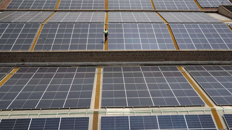 Maharashtra to get 1,352 MW solar boost from SJVN’s ₹7,436 crore green energy drive, ET EnergyWorld
